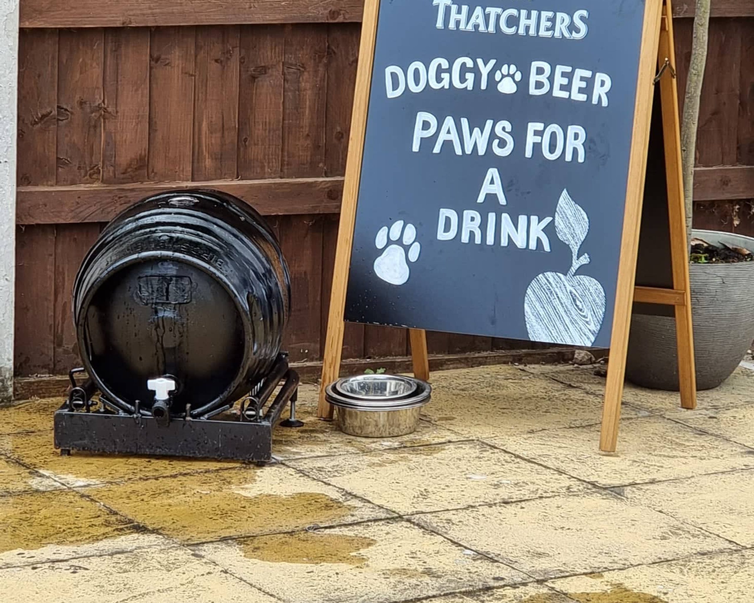 203817995_271453631421134_5312604615231923345_n