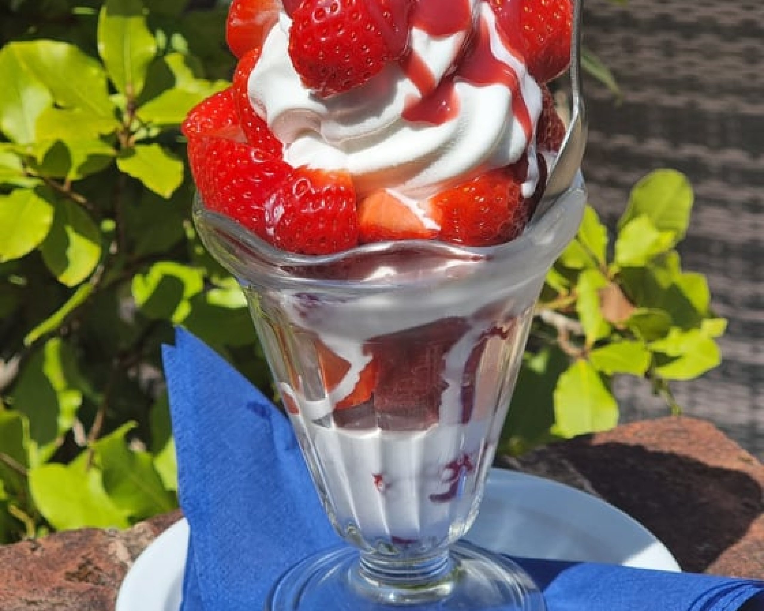 204445768_857740308496989_422711321559950467_n